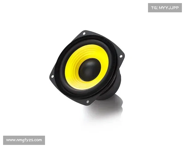 R1000TC北美版使用体验与性能对比分析及优缺点评测