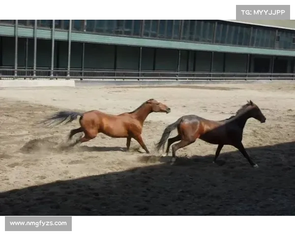 掌握汗血宝马养成秘诀与实用技巧助你成就卓越骑乘体验 掌握汗血宝马养成秘诀与实用技巧助你成就卓越骑乘体验