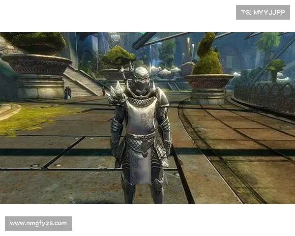 《激战2奶妈玩法全面解析与装备搭配技巧详解》