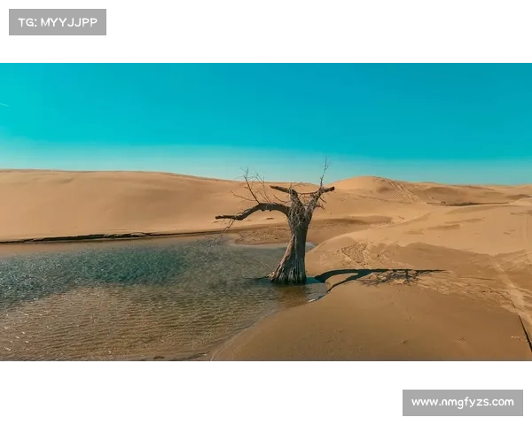 探秘伊瓦尔德废墟五大必看景点揭示古老遗迹的神秘魅力