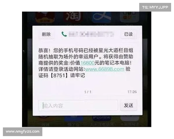 揭秘英冠虚假资讯的来源与应对策略分析